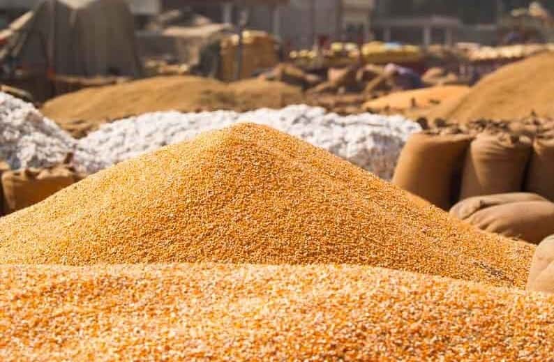 Ghalla Mandi Daily Rates