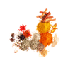 Spices icon