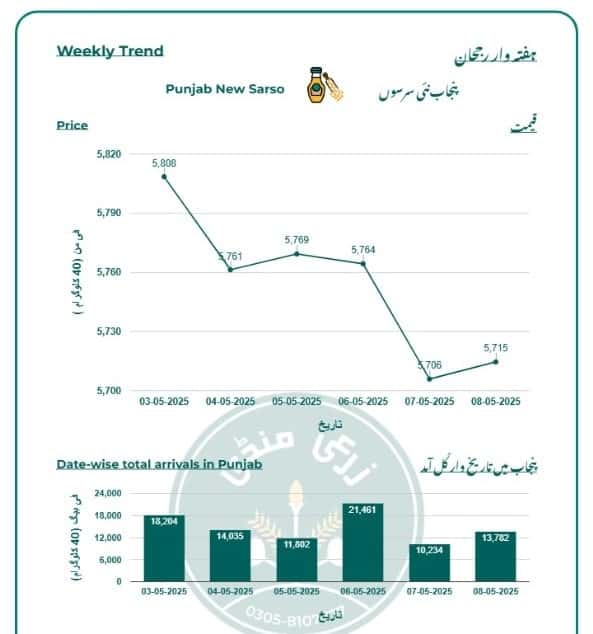 Market Trend Reports