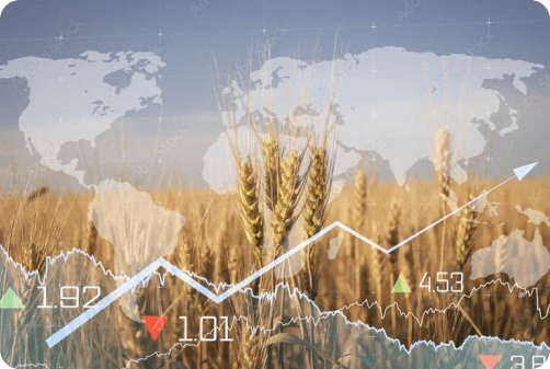 Daily Market Updates & Forecast