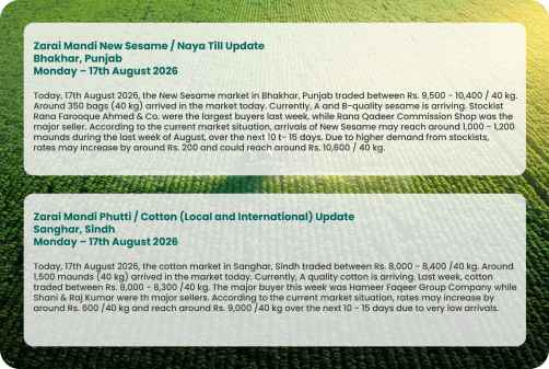 Daily News Bulletin
