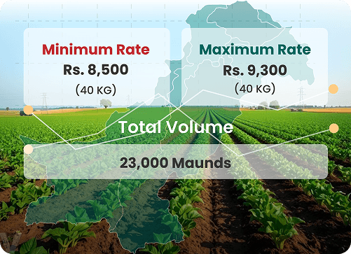 Volume & Quality Metrics