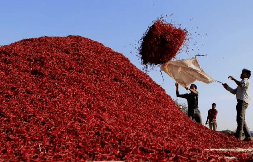 Kunri: Pakistan’s Spice Heart