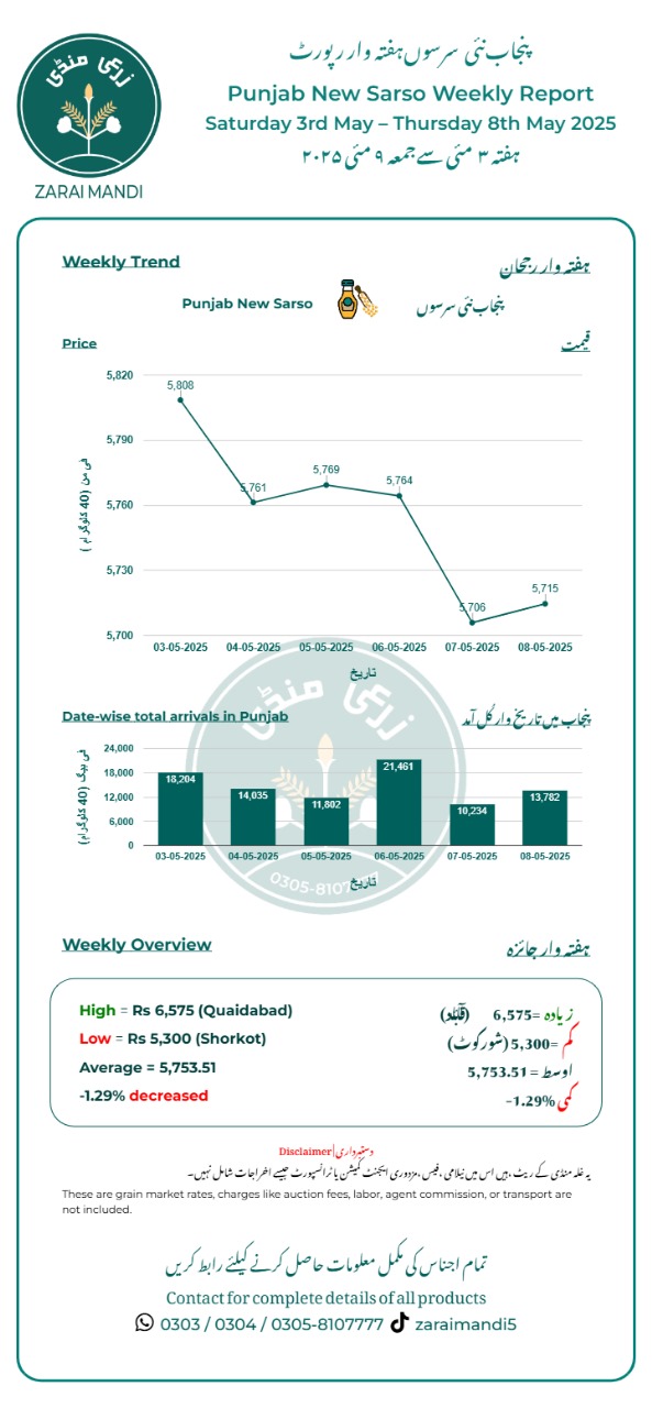 Market Trend Reports