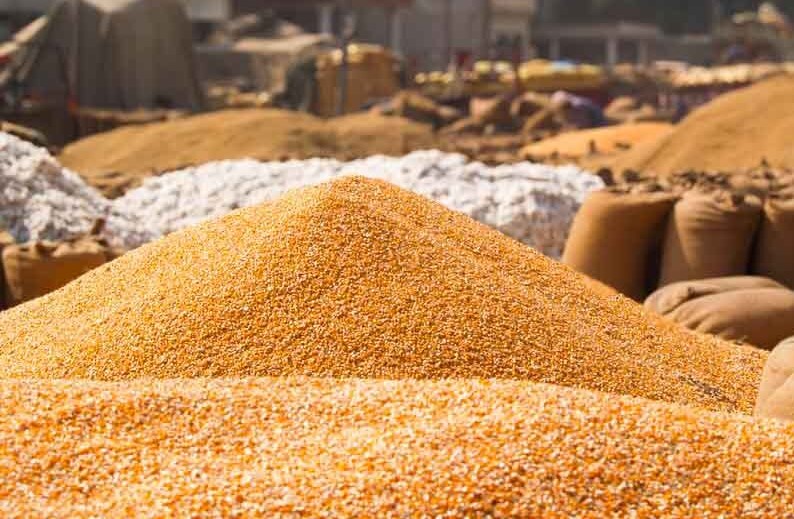 Ghalla Mandi Daily Rates