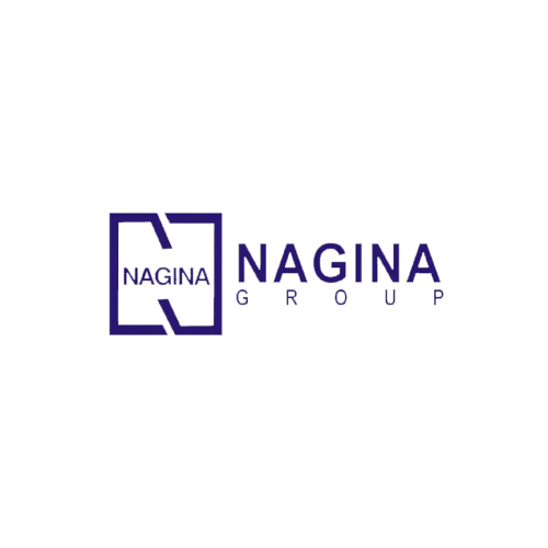 Nagina Group